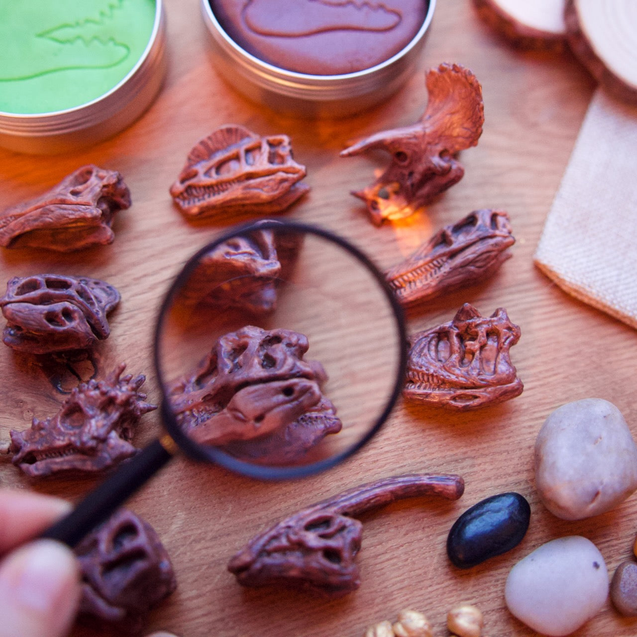 Kit de pâte à modeler "Paléontologie"