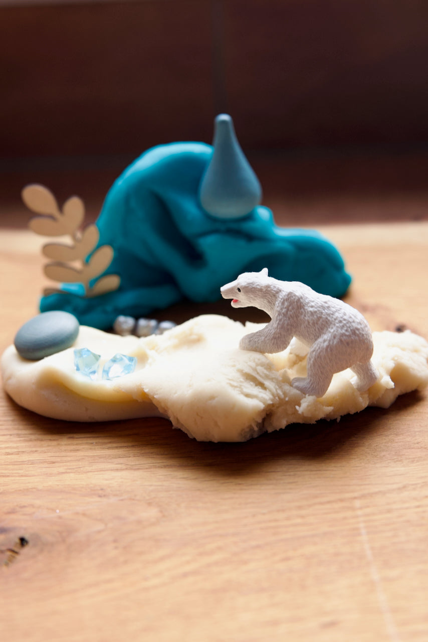 Kit de pâte à modeler "Arctique"