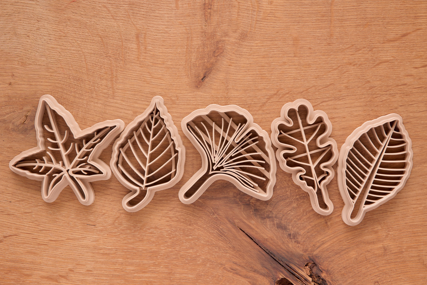Set 5 emporte‑pièces feuilles