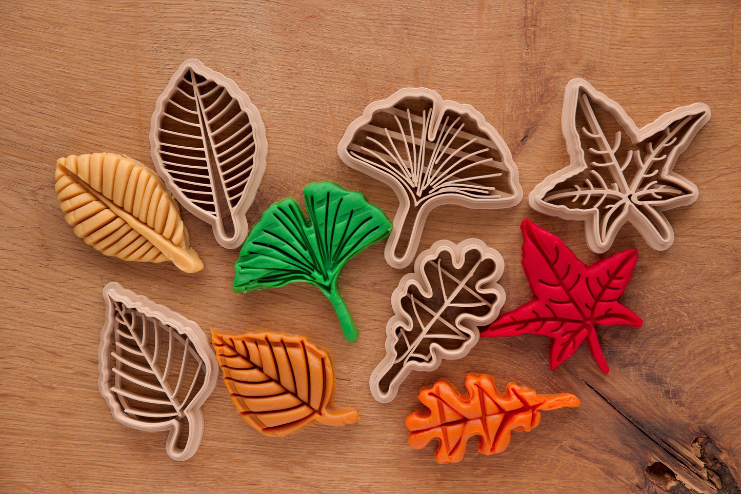Set 5 emporte‑pièces feuilles