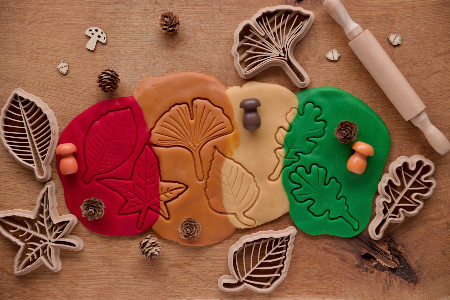 Set 5 emporte‑pièces feuilles