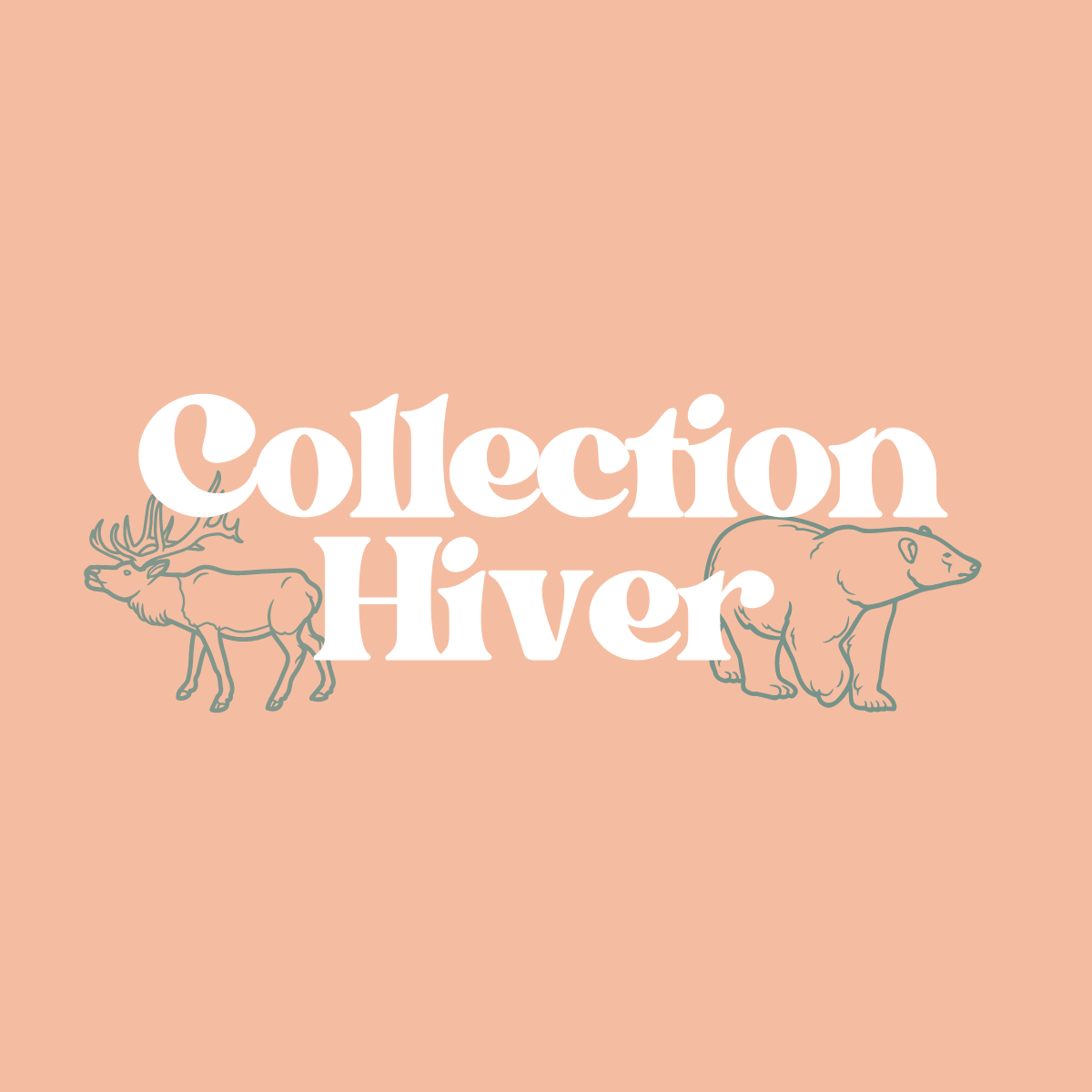 Collection Hiver