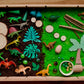 Kit de riz "Dinosaures"