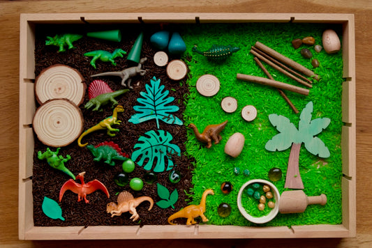 Kit de riz "Dinosaures"