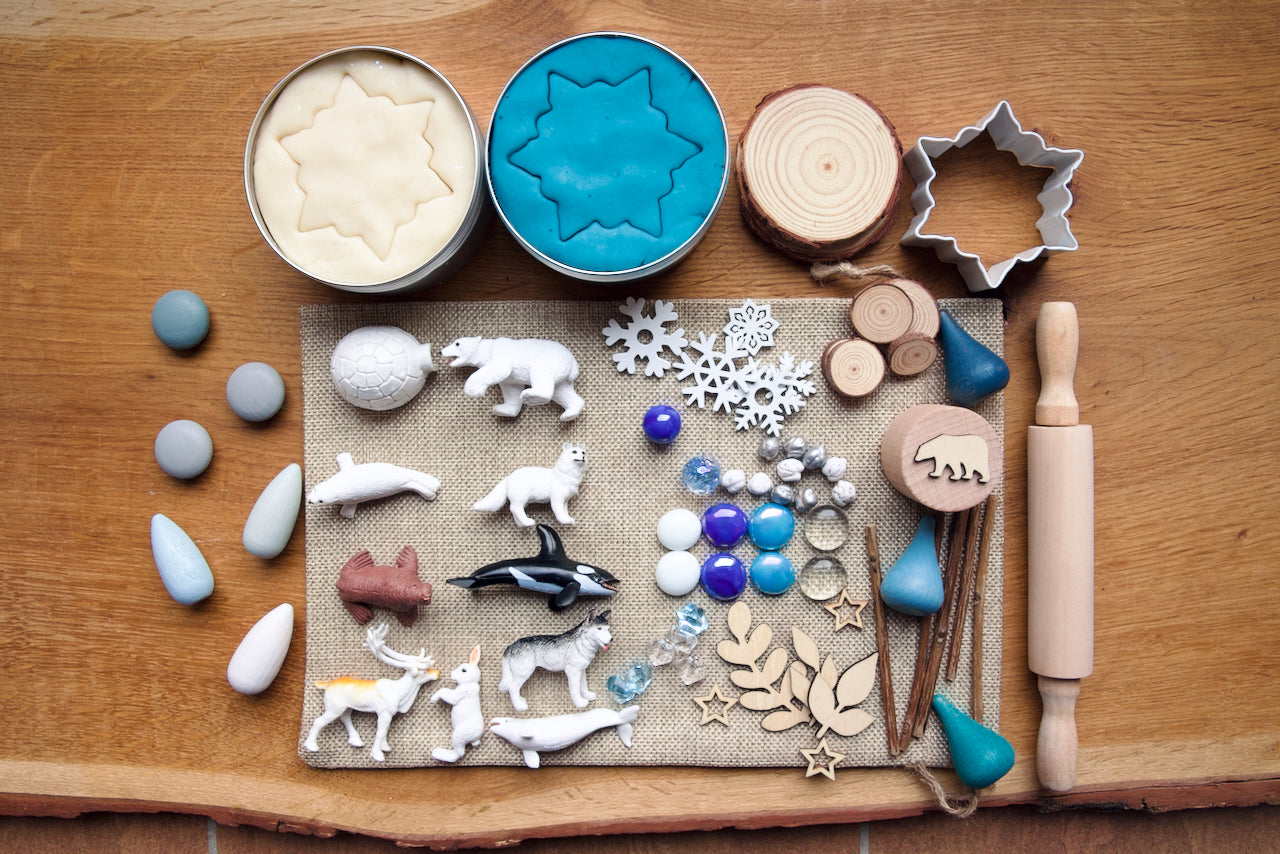 Kit de pâte à modeler "Arctique"