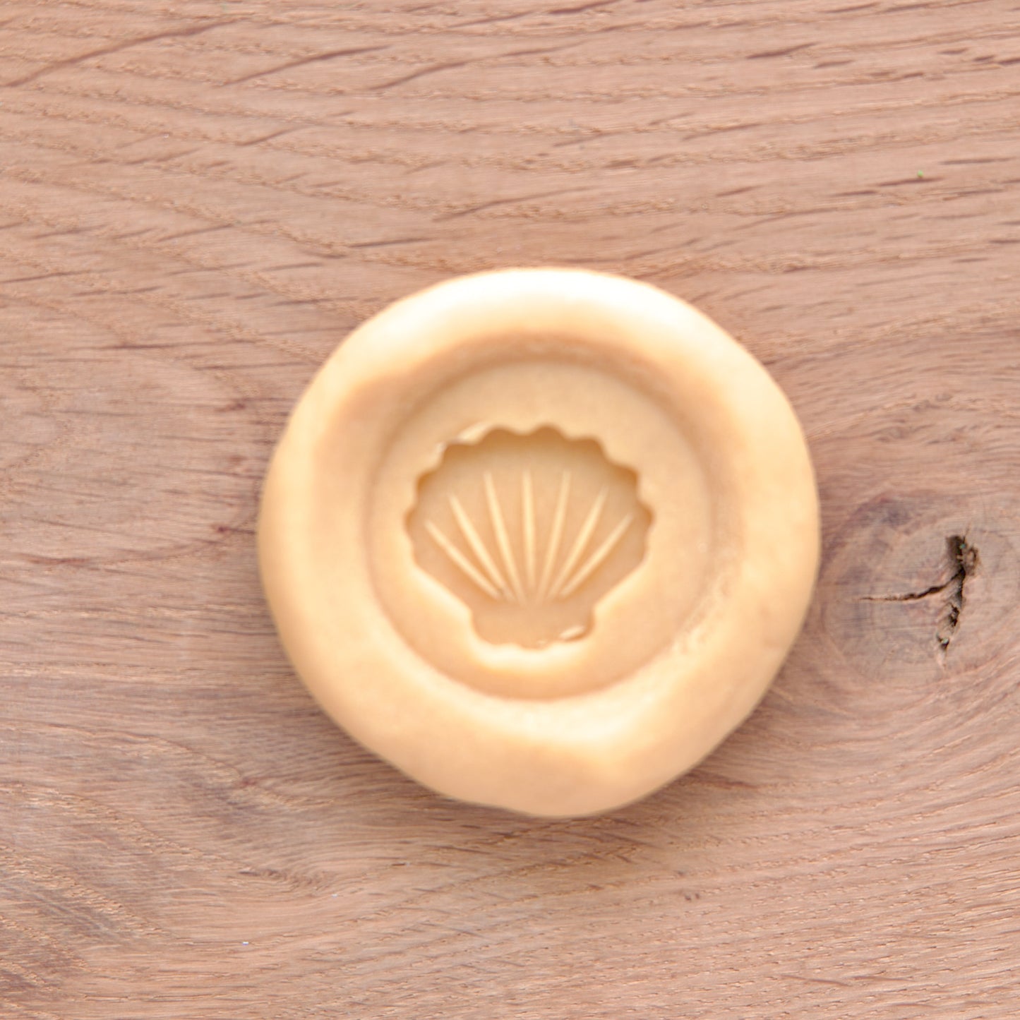 Tampon en bois "Coquillages"