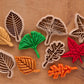 Set 5 emporte‑pièces feuilles